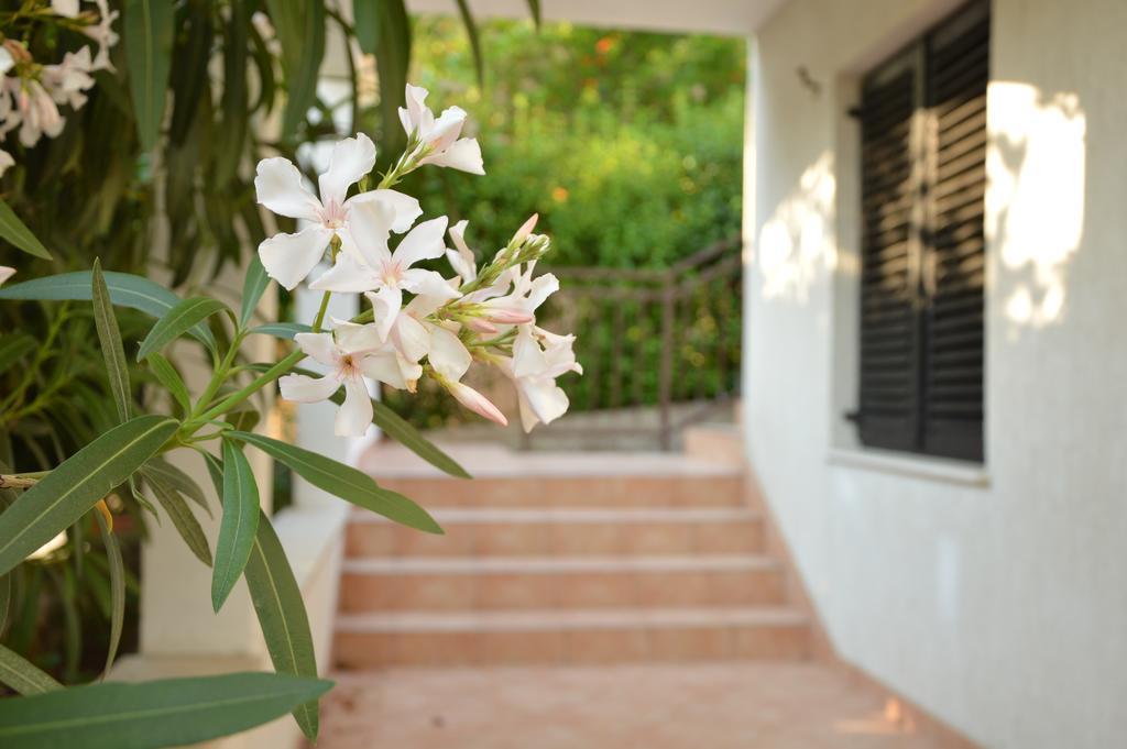 Holiday House Maja Podglavica Esterno foto